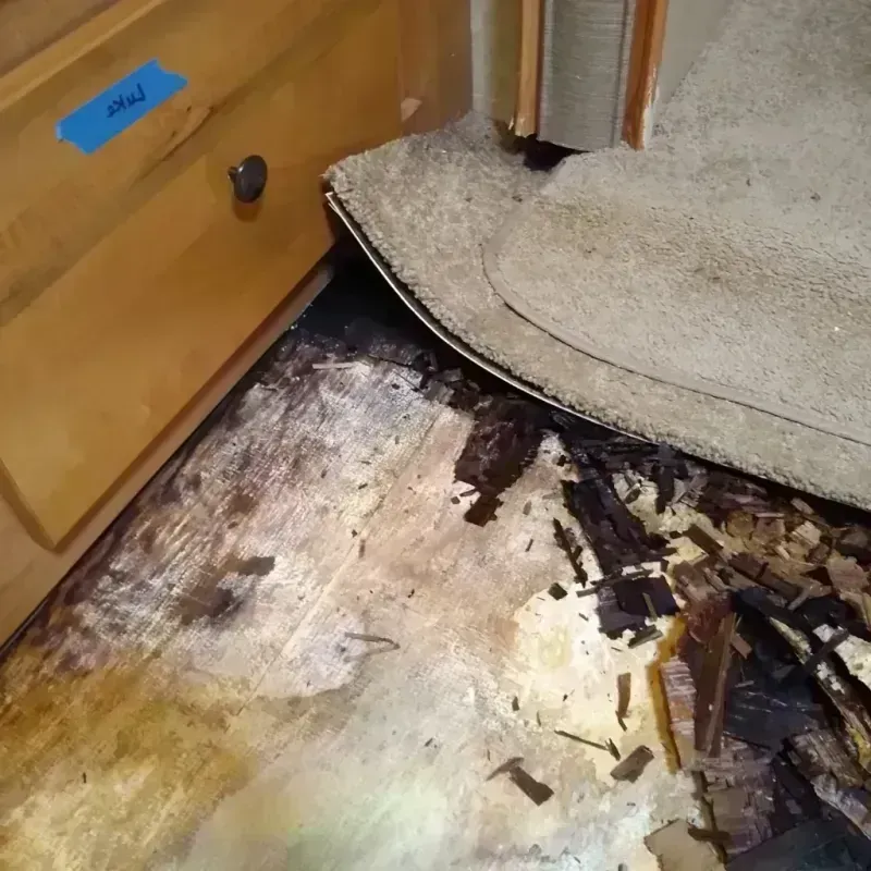 Wood Floor Water Damage in Tuscaloosa County, AL